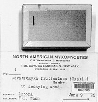 Image Associated With the Occurence